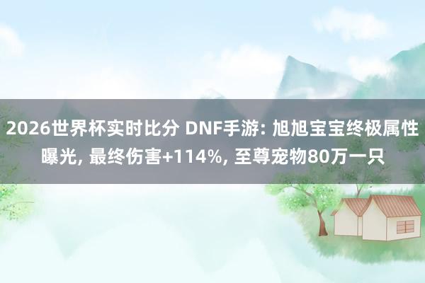 2026世界杯实时比分 DNF手游: 旭旭宝宝终极属性曝光, 最终伤害+114%, 至尊宠物80万一只