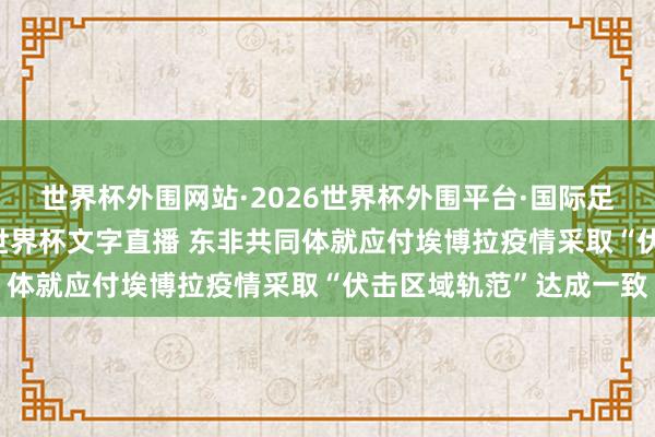 世界杯外围网站·2026世界杯外围平台·国际足联世界杯外围,2026世界杯文字直播 东非共同体就应付埃博拉疫情采取“伏击区域轨范”达成一致