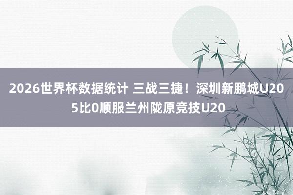 2026世界杯数据统计 三战三捷!深圳新鹏城U20 5比0顺服兰州陇原竞技U20