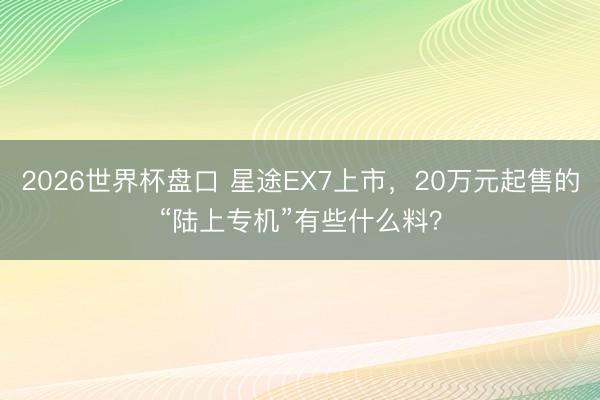 2026世界杯盘口 星途EX7上市,20万元起售的“陆上专机”有些什么料?