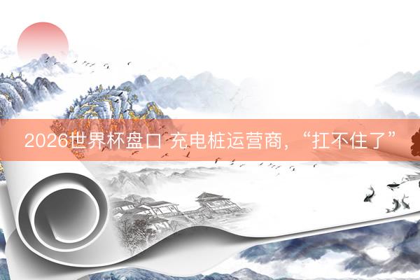 2026世界杯盘口 充电桩运营商,“扛不住了”